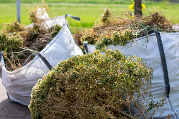 Best Trash Removal Near Me  in West Homestead, PA